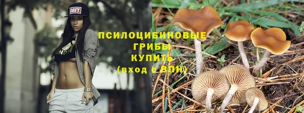 бутират Михайловка