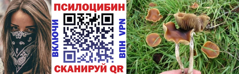 Псилоцибиновые грибы мухоморы Вытегра